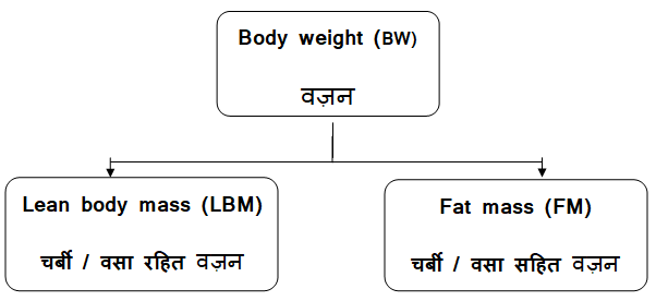 Body Weight Types 