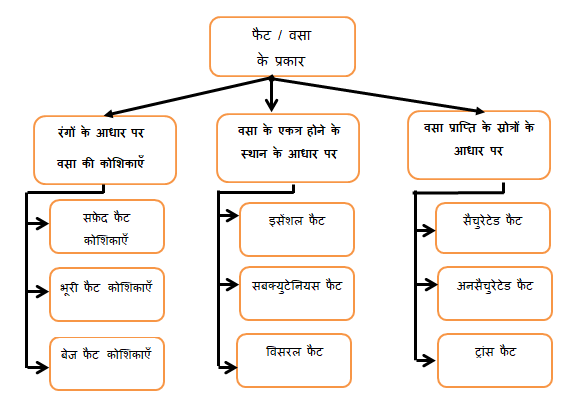 वसा के प्रकार | Types of fat chart