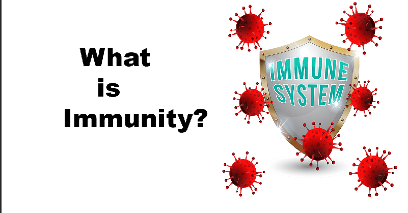what is immunity?
