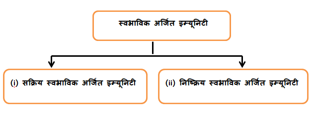 Types of Natural Acquire Immunity