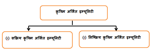 Types of artificial  acquired immunity 