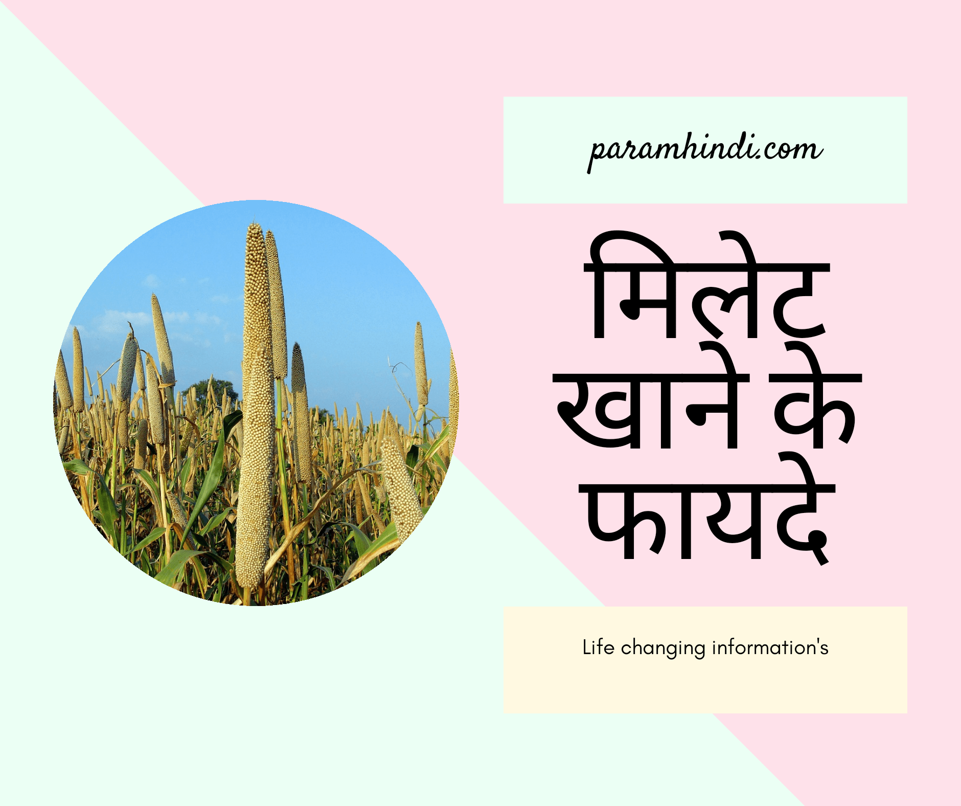 मिलेट खाने के 12 फायदे 12 benefits of eating millet (Bajra) Param Hindi