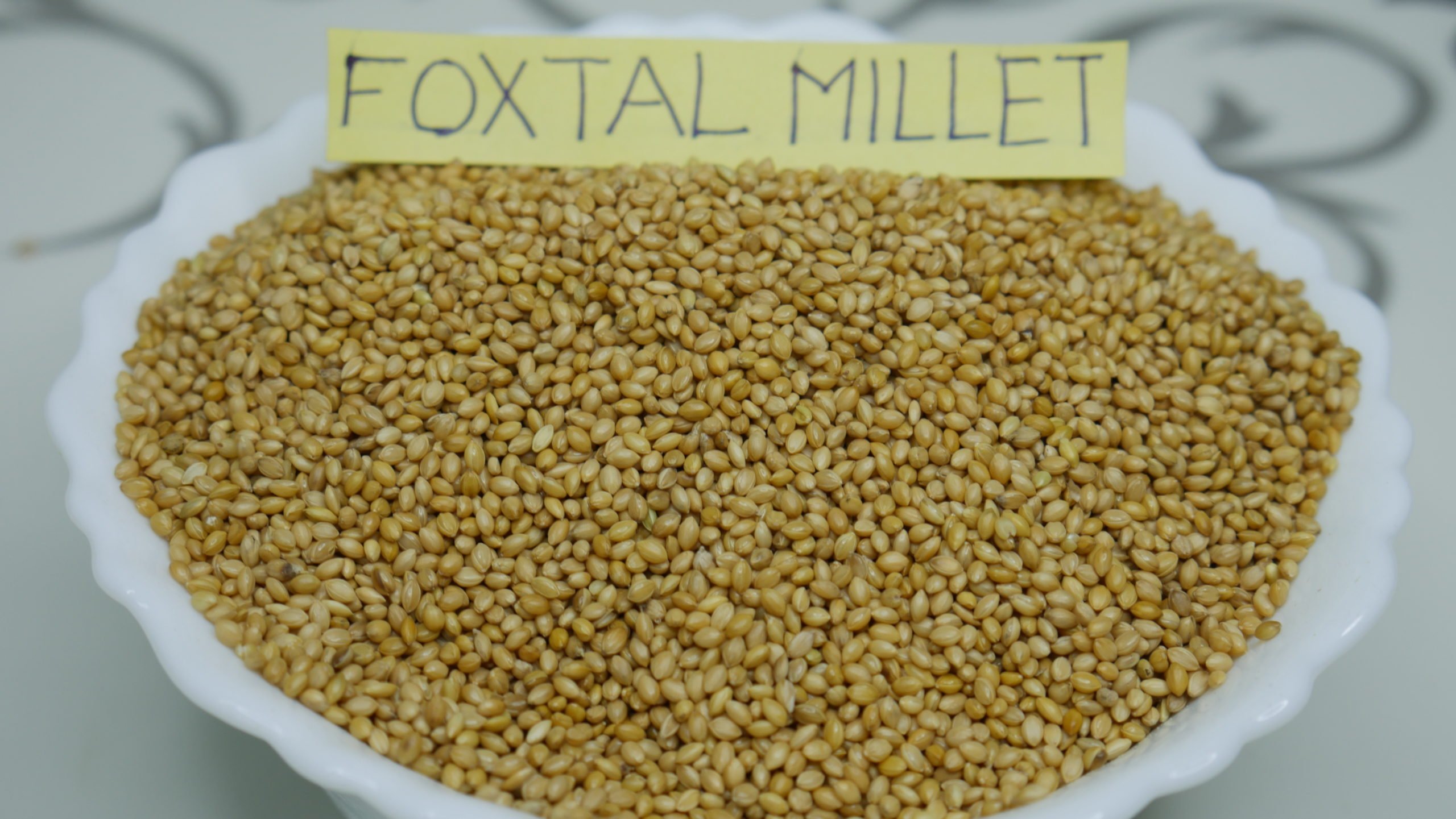 What Is The Meaning Of Foxtail Millet In Kannada