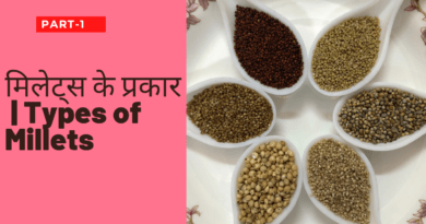 types of millets