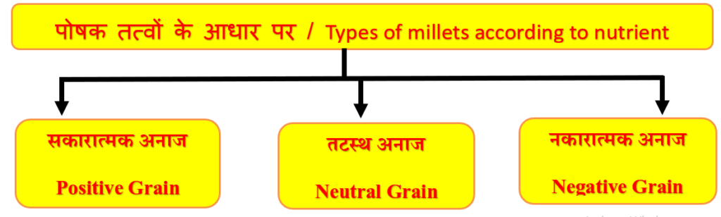 types of millets 