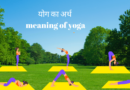 योग का अर्थ | meaning of yoga in Hindi